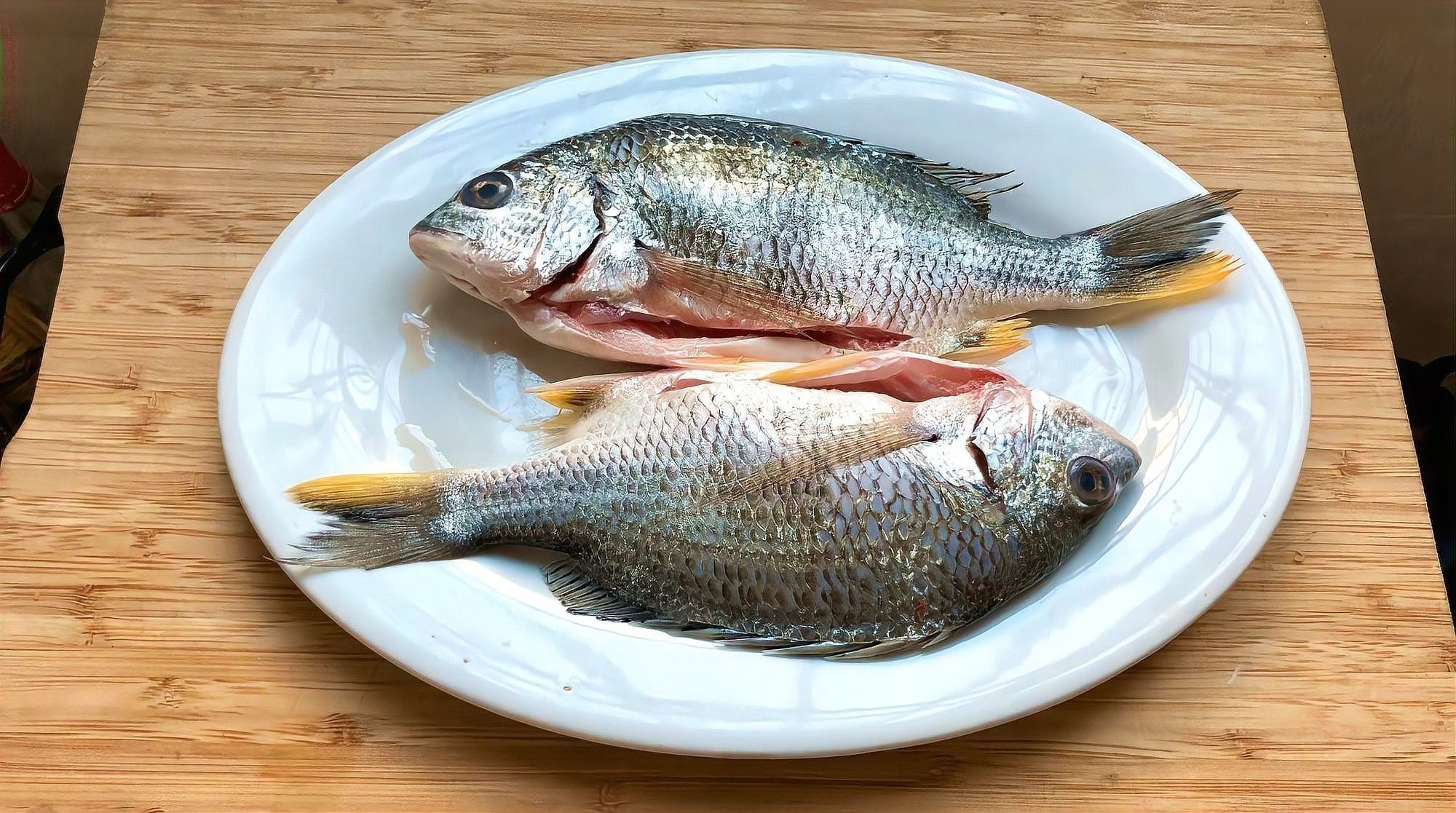 廣東特產魚推薦（廣東特產魚是廣東人餐桌上的常客） 廣東特產魚推薦（廣東特產魚是廣東人餐桌上的常客） 觀賞魚百科 第18張