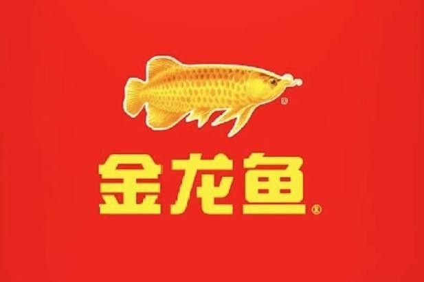 金龍魚都有什么牌(金龍魚品牌有哪些產品) 觀賞魚百科 第4張 金龍魚都有什么牌(金龍魚品牌有哪些產品) 金龍魚都有什么牌(金龍魚品牌有哪些產品) 觀賞魚百科 第4張