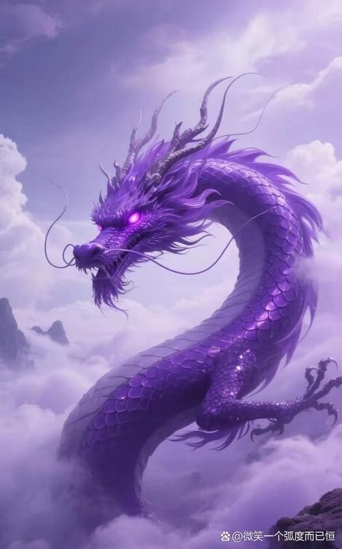 紫頂金龍圖片（紫頂金龍的市場價格） 紫頂金龍圖片（紫頂金龍的市場價格） 觀賞魚百科 第4張