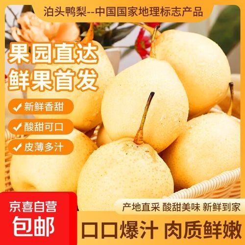 泊頭特產(chǎn)介紹（滄州泊頭十大特產(chǎn)） 泊頭特產(chǎn)介紹（滄州泊頭十大特產(chǎn)） 觀賞魚(yú)百科 第2張
