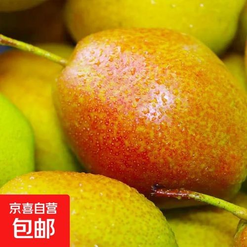 泊頭特產(chǎn)介紹（滄州泊頭十大特產(chǎn)） 泊頭特產(chǎn)介紹（滄州泊頭十大特產(chǎn)） 觀賞魚(yú)百科 第1張