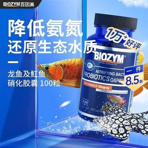 美國百因美龍魚（“美國百因美”品牌及其龍魚品牌及其龍魚相關(guān)產(chǎn)品信息）