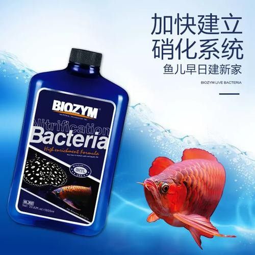 美國百因美龍魚（“美國百因美”品牌及其龍魚品牌及其龍魚相關(guān)產(chǎn)品信息）