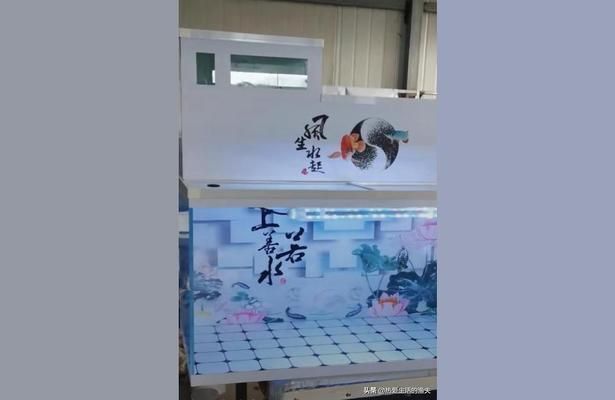臨滄觀賞魚市場：臨滄觀賞魚市場價格