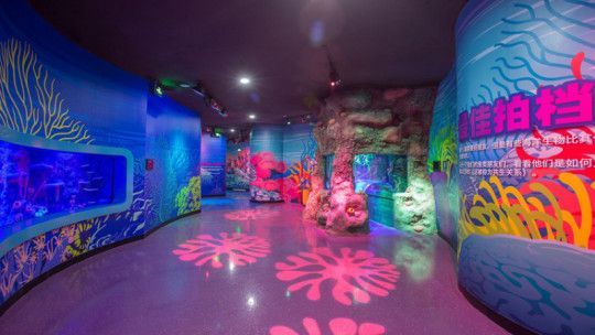 沈陽水族館：沈陽旅游攻略沈陽水族館 沈陽水族館：沈陽旅游攻略沈陽水族館 觀賞魚百科 第3張