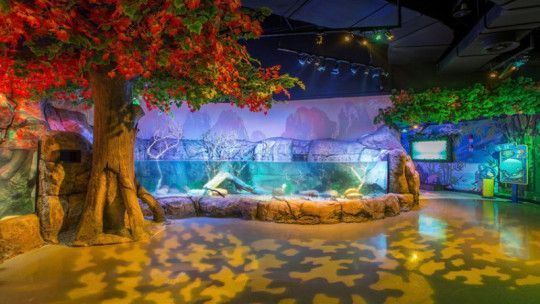 沈陽水族館：沈陽旅游攻略沈陽水族館 沈陽水族館：沈陽旅游攻略沈陽水族館 觀賞魚百科 第10張