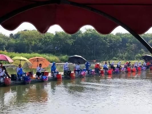 龍魚和虎魚怎樣搭配好養(yǎng)一點(diǎn)，當(dāng)龍魚和虎魚出現(xiàn)健康問題時(shí)，應(yīng)如何進(jìn)行有效的治療