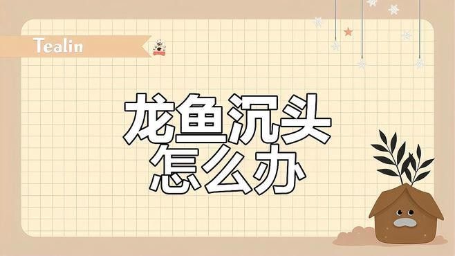 建始紅龍魚最忌諱三個東西（紅龍魚飼養(yǎng)中最需要關(guān)注的三個關(guān)鍵忌諱，養(yǎng)好紅龍魚）