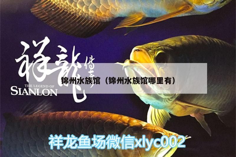 錦州水族館（錦州水族館哪里有）（錦州水族館哪里好玩） 錦州水族館（錦州水族館哪里有）（錦州水族館哪里好玩） 觀賞魚百科 第1張