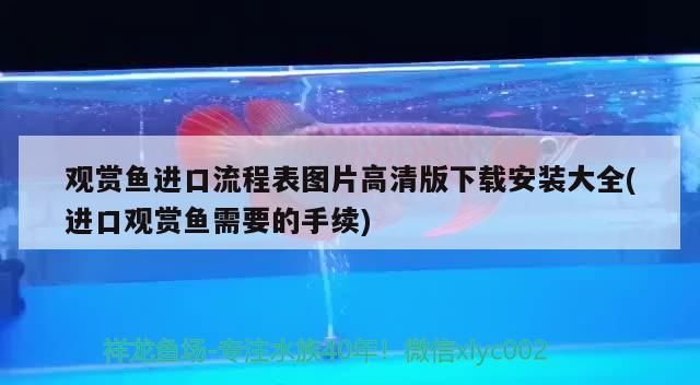 撫順哪里賣魚缸的地方多一點（撫順個人賣觀賞魚市場）（撫順哪里賣魚缸的地方多一點） 撫順哪里賣魚缸的地方多一點（撫順個人賣觀賞魚市場）（撫順哪里賣魚缸的地方多一點） 觀賞魚百科