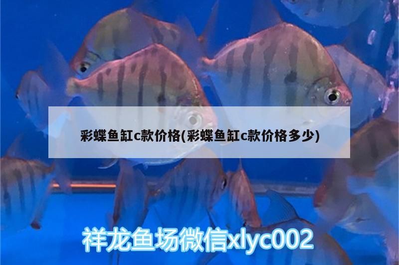 彩蝶魚缸c款價格(彩蝶魚缸c款價格多少)（彩蝶魚缸c款價格、彩蝶魚缸c款價格多少） 彩蝶魚缸c款價格(彩蝶魚缸c款價格多少)（彩蝶魚缸c款價格、彩蝶魚缸c款價格多少） 觀賞魚百科