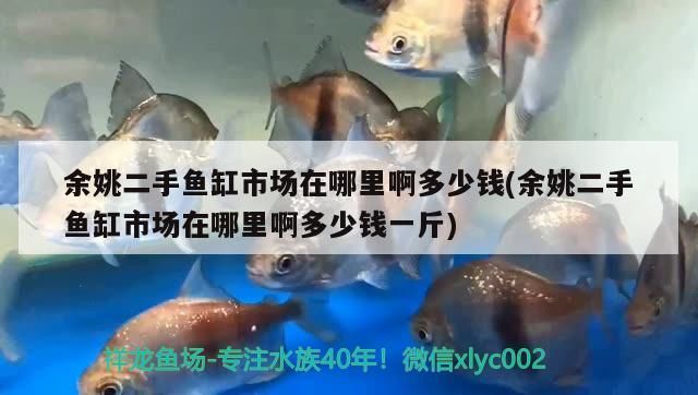<strong><mark>余姚</mark></strong>二手魚(yú)缸市場(chǎng)在哪里啊多少錢(<strong><mark>余姚</mark></strong>二手魚(yú)缸市場(chǎng)在哪里啊多少錢一斤)（<strong><mark>余姚</mark></strong>二手魚(yú)缸市場(chǎng)在哪里<strong><mark>余姚</mark></strong>二手魚(yú)缸市場(chǎng)在哪里啊）