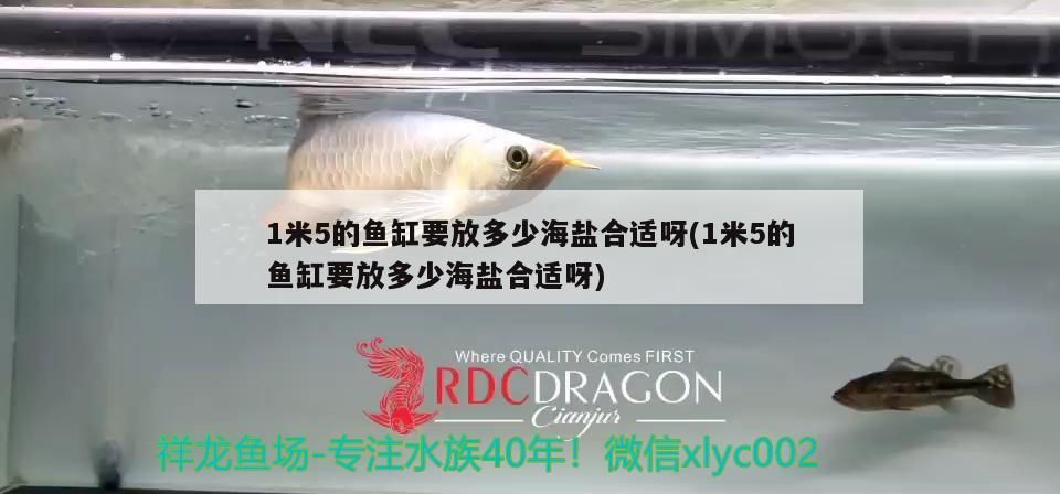 1米5的魚缸要放多少海鹽合適呀(1米5的魚缸要放多少海鹽合適呀) 1米5的魚缸要放多少海鹽合適呀(1米5的魚缸要放多少海鹽合適呀) 觀賞魚百科