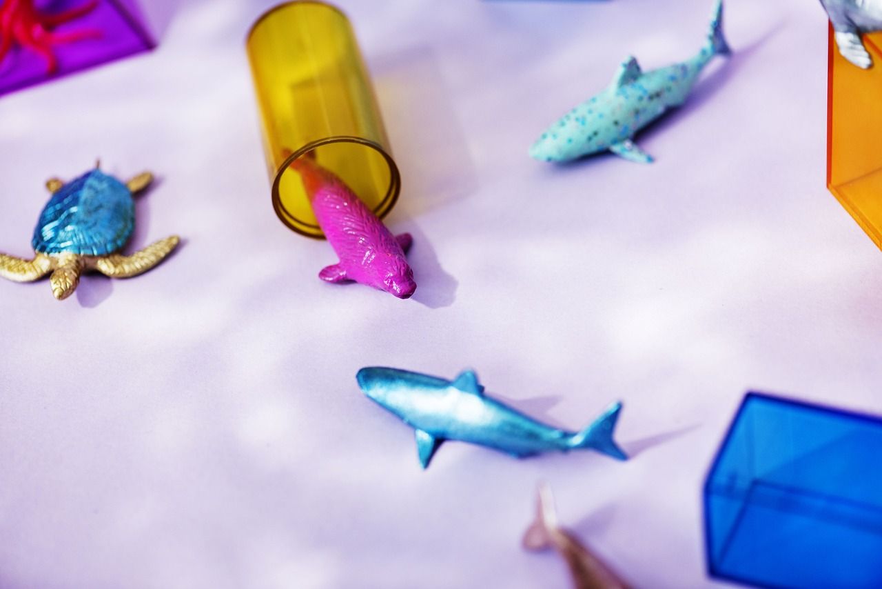 長沙水族批發市場和海水觀賞魚批發市場和海水觀賞魚批發市場介紹，觀賞魚水族批發市場