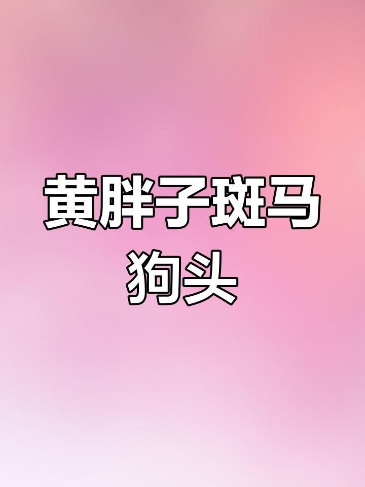 狗頭魚是什么魚（狗頭魚是什么魚曉糖糖） 狗頭魚是什么魚（狗頭魚是什么魚曉糖糖） 觀賞魚百科 第2張