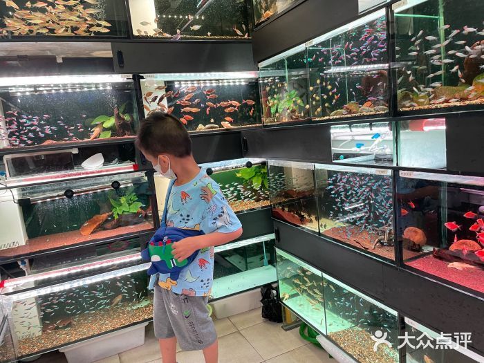 芳村花鳥魚蟲新世界幾點關門錦鯉市場（廣州芳村花鳥魚蟲新世界） 芳村花鳥魚蟲新世界幾點關門錦鯉市場（廣州芳村花鳥魚蟲新世界） 觀賞魚百科 第1張