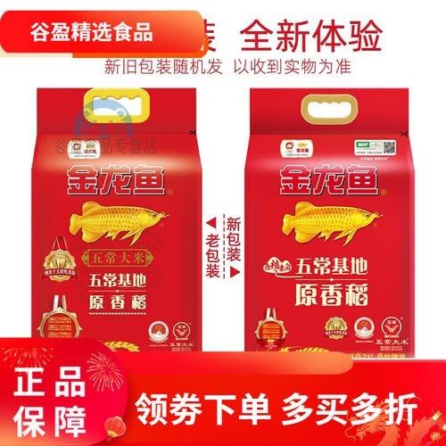 金龍魚五常基地原香稻2號（金龍魚五常基地原香稻2號是什么？） 金龍魚五常基地原香稻2號（金龍魚五常基地原香稻2號是什么？） 觀賞魚百科 第7張