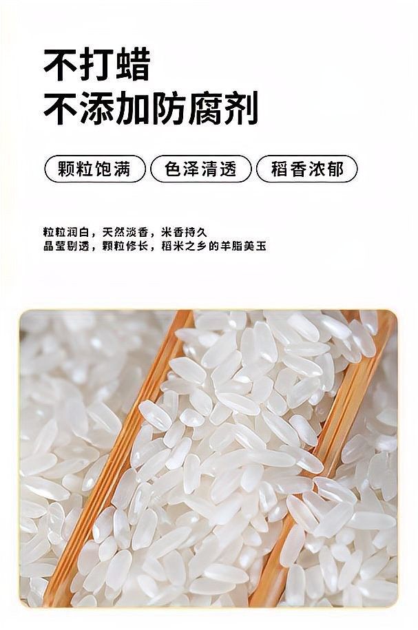 金龍魚五常基地原香稻2號（金龍魚五常基地原香稻2號是什么？） 金龍魚五常基地原香稻2號（金龍魚五常基地原香稻2號是什么？） 觀賞魚百科 第10張