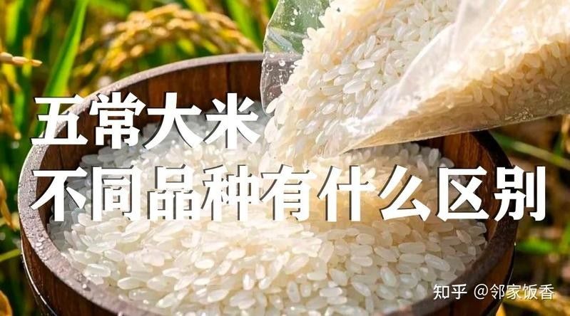 金龍魚五常基地原香稻2號（金龍魚五常基地原香稻2號是什么？） 金龍魚五常基地原香稻2號（金龍魚五常基地原香稻2號是什么？） 觀賞魚百科 第11張