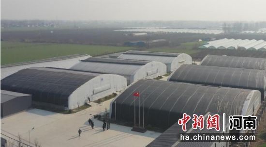 魚缸過濾器選購指南:自制魚缸過濾器魚缸上置過濾器對于養(yǎng)魚愛好者的必備知識 沈丘賣魚市場(沈丘賣魚市場的魚價如何?) 觀賞魚百科 沈丘賣魚市場(沈丘賣魚市場的魚價如何?) 沈丘賣魚市場(沈丘賣魚市場的魚價如何?) 觀賞魚百科