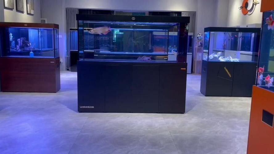 愛唯希魚缸是哪的品牌（成都智拓水族用品有限公司愛唯希魚缸有哪些品牌）
