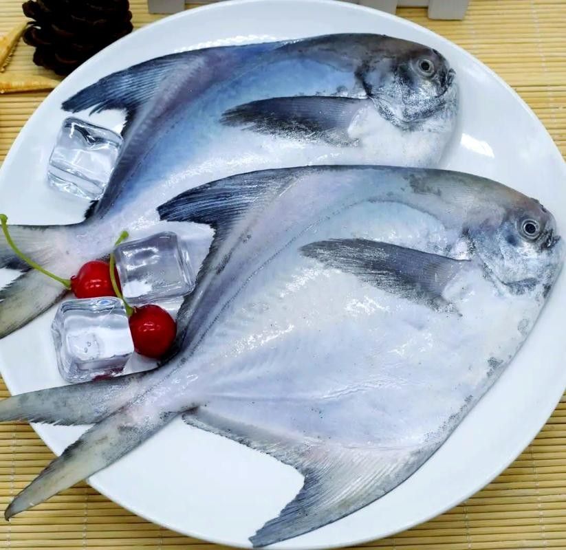 鯧魚品種圖（12種鯧魚,來看看有沒有你不認識的）