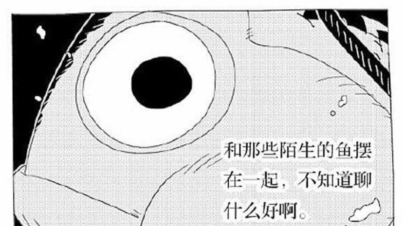 漳州水族館:喂食龍魚小竅門
