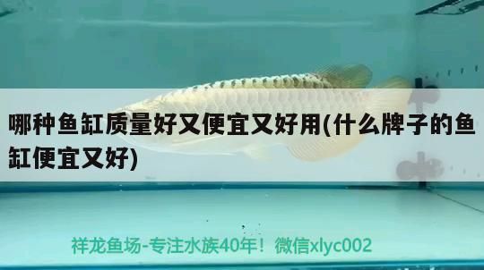 哪種魚(yú)缸質(zhì)量好又便宜又好用(什么牌子的魚(yú)缸便宜又好)（什么牌子的魚(yú)缸好）