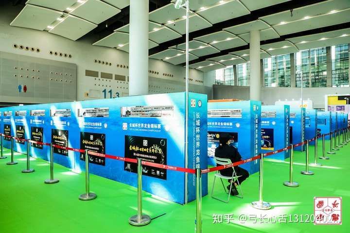 第二十六屆中國國際寵物水族展覽會（CIPS2022）（二十六屆中國國際寵物水族展覽會（cips2022））