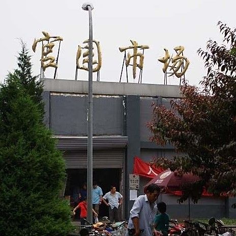 紅龍魚市場地址在哪里（北京哪里有紅龍魚市場）