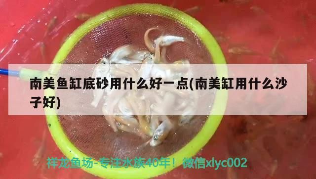 南美魚缸底砂用什么好一點(南美缸用什么沙子好)（南美魚缸底砂用什么好） 南美魚缸底砂用什么好一點(南美缸用什么沙子好)（南美魚缸底砂用什么好） 觀賞魚百科