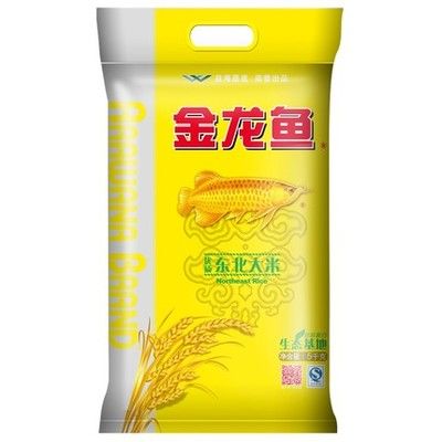 龍魚健康飲食搭配指南