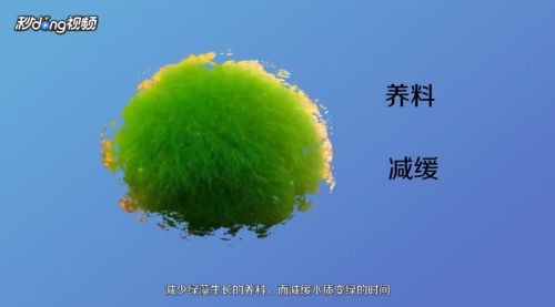 龍魚大概有多少錢價位的魚（龍魚的價格一般多少錢？）
