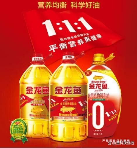順河回族金龍魚