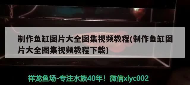 制作魚缸圖片大全圖集視頻教程(制作魚缸圖片大全圖集視頻教程下載)