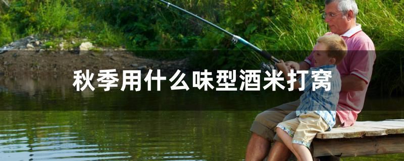 本溪魚缸維護(上海哪個花鳥市場熱帶魚多些)(上海本溪魚缸維護與上海花鳥市場熱帶魚比較) 觀賞魚百科 第1張 本溪魚缸維護(上海哪個花鳥市場熱帶魚多些)(上海本溪魚缸維護與上海花鳥市場熱帶魚比較) 本溪魚缸維護(上海哪個花鳥市場熱帶魚多些)(上海本溪魚缸維護與上海花鳥市場熱帶魚比較) 觀賞魚百科 第1張