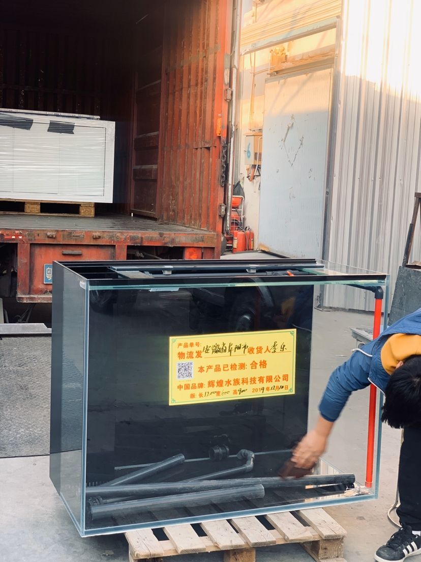 本溪魚缸維護(上海哪個花鳥市場熱帶魚多些)(上海本溪魚缸維護與上海花鳥市場熱帶魚比較) 觀賞魚百科 第2張 本溪魚缸維護(上海哪個花鳥市場熱帶魚多些)(上海本溪魚缸維護與上海花鳥市場熱帶魚比較) 本溪魚缸維護(上海哪個花鳥市場熱帶魚多些)(上海本溪魚缸維護與上海花鳥市場熱帶魚比較) 觀賞魚百科 第2張