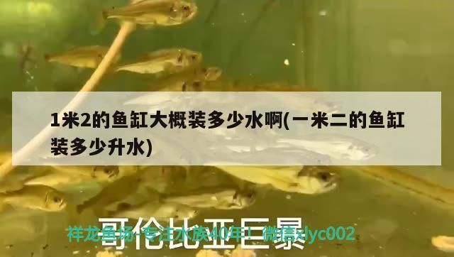 1米2的魚缸大概裝多少水啊(一米二的魚缸裝多少升水)（1米2的魚缸大概裝多少水，魚缸大概裝多少公斤水） 1米2的魚缸大概裝多少水啊(一米二的魚缸裝多少升水)（1米2的魚缸大概裝多少水，魚缸大概裝多少公斤水） 觀賞魚百科