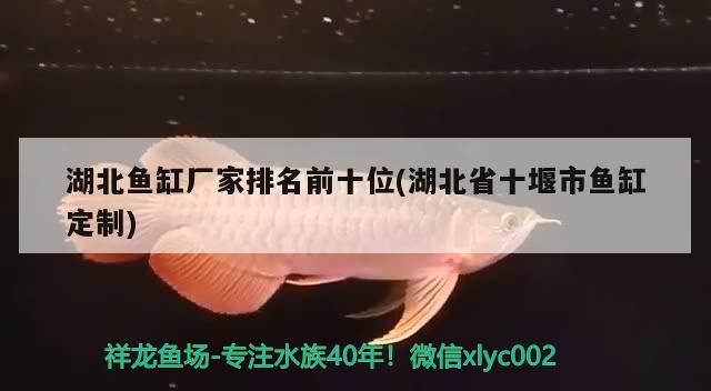 湖北魚缸廠家排名前十位(湖北省十堰市魚缸定制)（中國十大魚缸品牌排名） 湖北魚缸廠家排名前十位(湖北省十堰市魚缸定制)（中國十大魚缸品牌排名） 觀賞魚百科