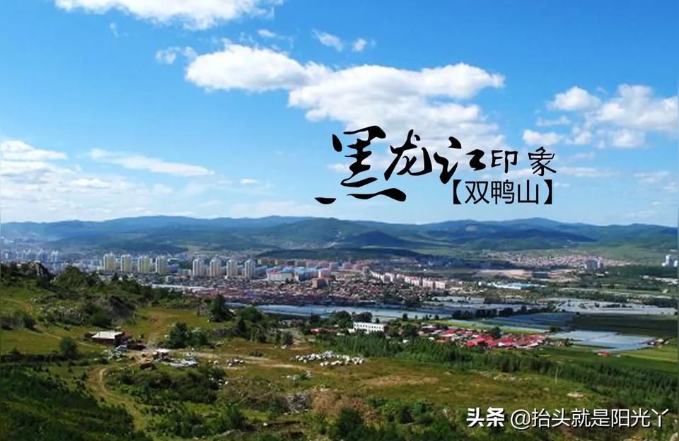 雙鴨山水族批發市場（雙鴨山水族批發市場的前景如何？）