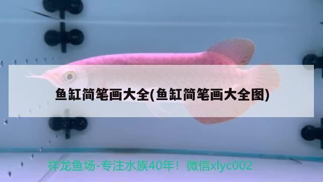 我的虎魚真菌感染了要怎么處理 魚缸簡筆畫大全(魚缸簡筆畫大全圖)(幼兒園魚缸簡筆畫大全) 觀賞魚百科 魚缸簡筆畫大全(魚缸簡筆畫大全圖)(幼兒園魚缸簡筆畫大全) 魚缸簡筆畫大全(魚缸簡筆畫大全圖)(幼兒園魚缸簡筆畫大全) 觀賞魚百科