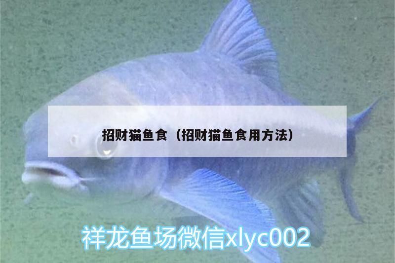 招財貓魚食（招財貓魚食用方法）（招財貓魚吃什么魚食） 招財貓魚食（招財貓魚食用方法）（招財貓魚吃什么魚食） 觀賞魚百科