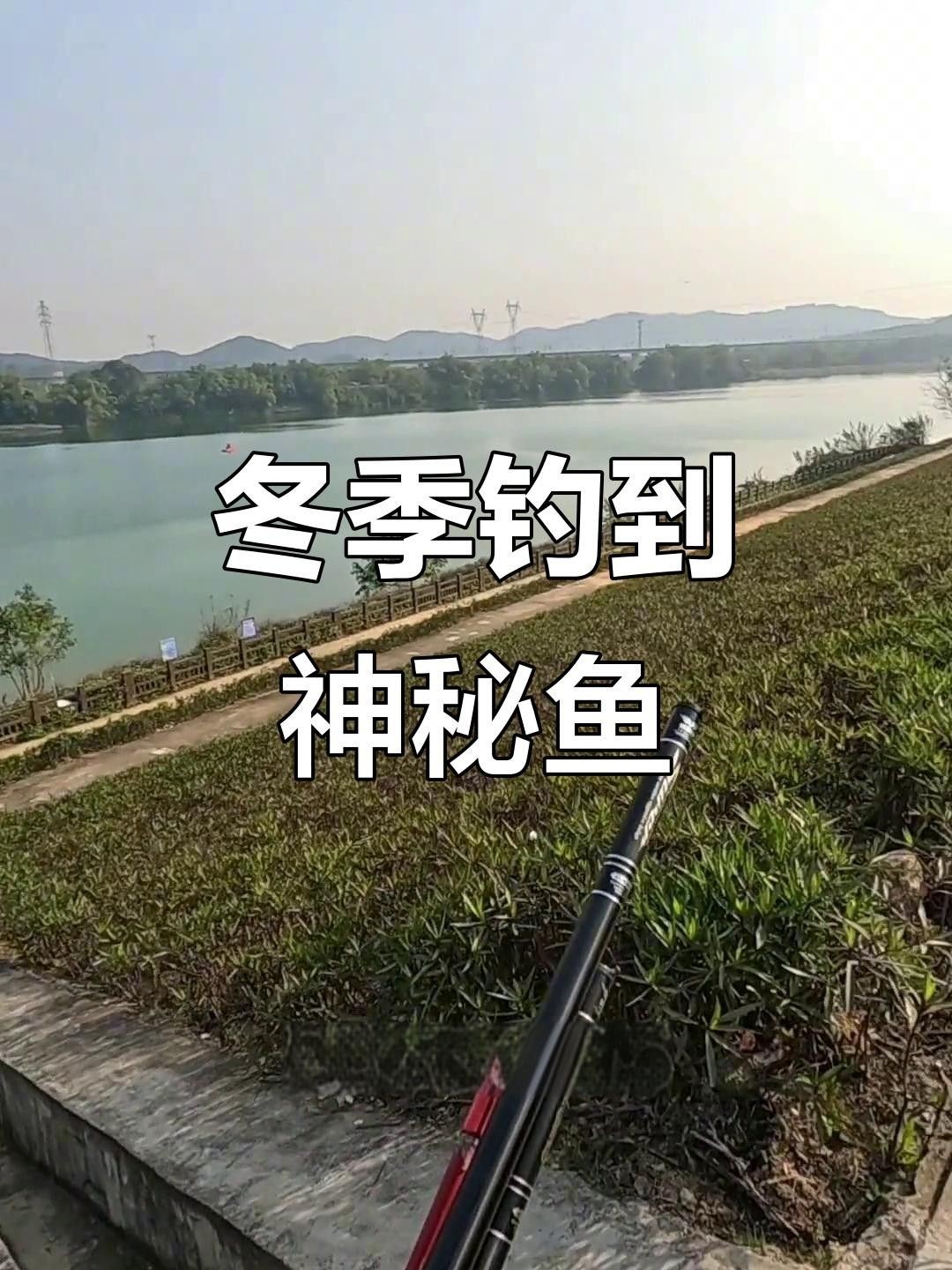 邕江孟加拉魚（桂孟加拉鯪廣西邕江有什么魚極客汐潮邕江孟加拉魚的真假）