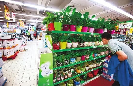 涼山彝族自治州花鳥魚蟲市場:官園花鳥魚蟲市場國慶開嗎（涼山彝族自治州花鳥魚蟲市場:官園花鳥市場國慶開嗎）