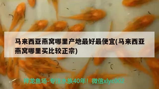 樂事水族魚缸安裝視頻大全下載(樂事水族官網(wǎng))(樂事水族魚缸安裝視頻大全) 觀賞魚百科 第2張 樂事水族魚缸安裝視頻大全下載(樂事水族官網(wǎng))(樂事水族魚缸安裝視頻大全) 樂事水族魚缸安裝視頻大全下載(樂事水族官網(wǎng))(樂事水族魚缸安裝視頻大全) 觀賞魚百科 第2張