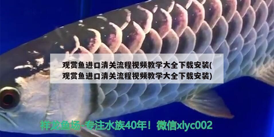 樂事水族魚缸安裝視頻大全下載(樂事水族官網(wǎng))(樂事水族魚缸安裝視頻大全) 觀賞魚百科 第3張 樂事水族魚缸安裝視頻大全下載(樂事水族官網(wǎng))(樂事水族魚缸安裝視頻大全) 樂事水族魚缸安裝視頻大全下載(樂事水族官網(wǎng))(樂事水族魚缸安裝視頻大全) 觀賞魚百科 第3張