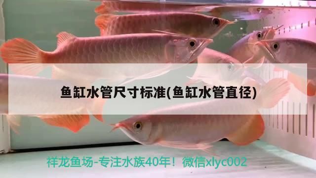 魚缸水管尺寸標準(魚缸水管直徑)（祥龍魚場魚缸水管尺寸標準知識，魚缸水管尺寸標準的解釋）