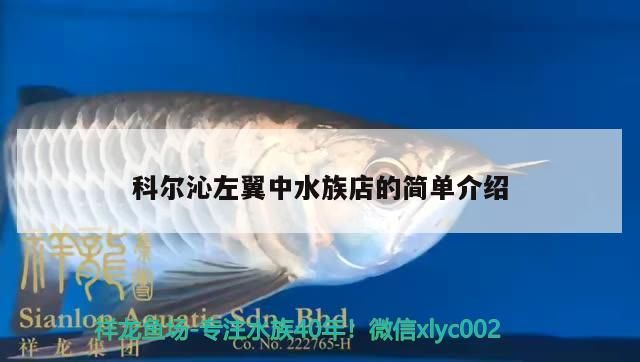 給大魚缸換水的作文:體驗給大魚缸換水的樂趣:體驗給大魚缸換水:給大魚缸換水的作文 科爾沁左翼中水族店的簡單介紹(上海科爾沁左翼中水族店(科爾沁左翼中水族店)目錄一覽) 觀賞魚百科 科爾沁左翼中水族店的簡單介紹(上海科爾沁左翼中水族店(科爾沁左翼中水族店)目錄一覽) 科爾沁左翼中水族店的簡單介紹(上海科爾沁左翼中水族店(科爾沁左翼中水族店)目錄一覽) 觀賞魚百科