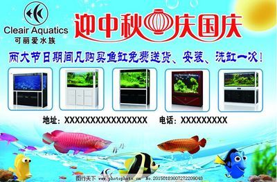 龍魚a區是哪里（龍魚a區指什么）（龍魚a區指什么，龍魚a區是哪里，）