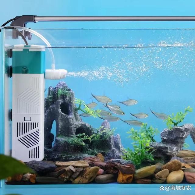 彩蝶魚缸背景圖片大全高清(彩蝶魚缸安裝示意圖)（彩蝶魚缸背景圖片大全） 彩蝶魚缸背景圖片大全高清(彩蝶魚缸安裝示意圖)（彩蝶魚缸背景圖片大全） 觀賞魚百科
